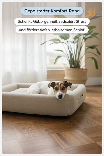 hundebett mit höhle Norbert